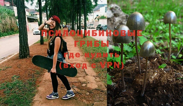соль курить ск Аркадак