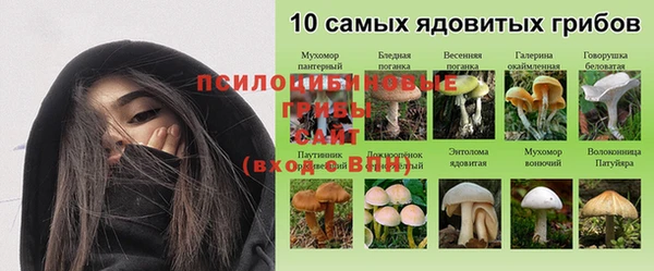 соль курить ск Аркадак