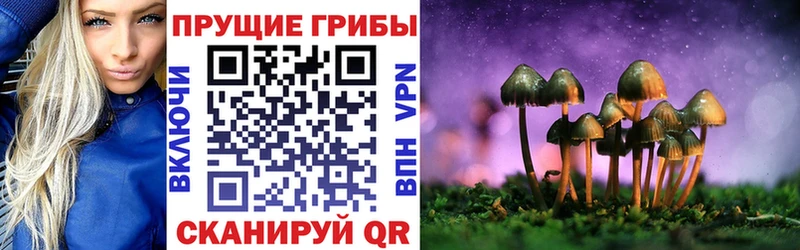 blacksprut как войти закладка Тарко-Сале Псилоцибиновые грибы Magic Shrooms